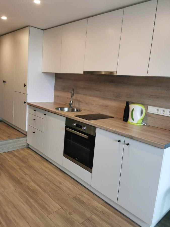 Lofto Tipo 2 Kambariu Butas Lägenhet Kaunas Exteriör bild